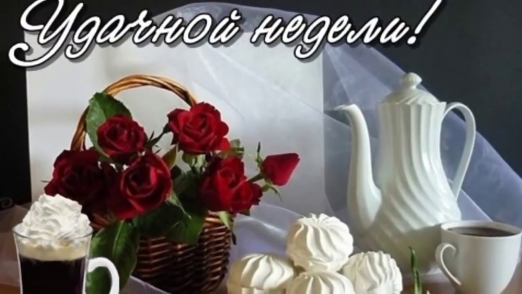 Цветы розы