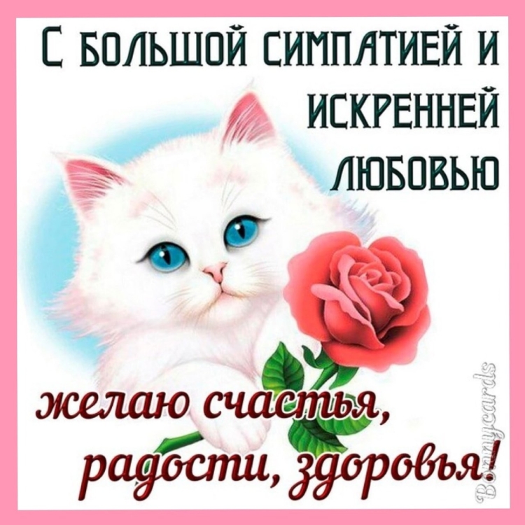 Маленькие открыточки с пожеланиями