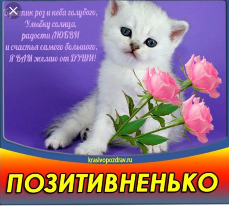 Открытки на все случаи