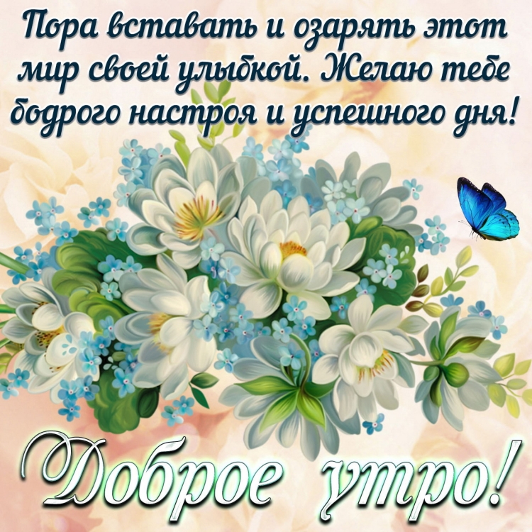 Позитивные пожелания на день
