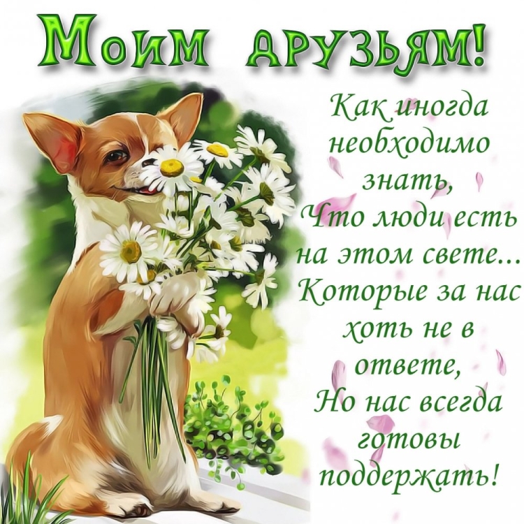 Открытки для друзей с пожеланиями