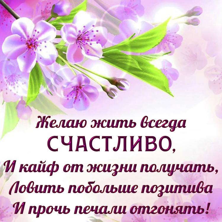 Добрые пожелания