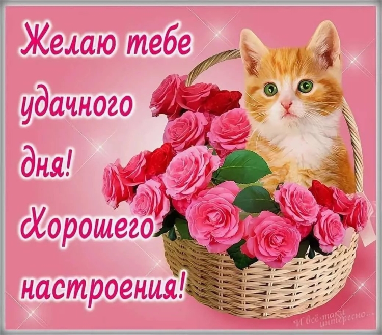 Добрый день стихи