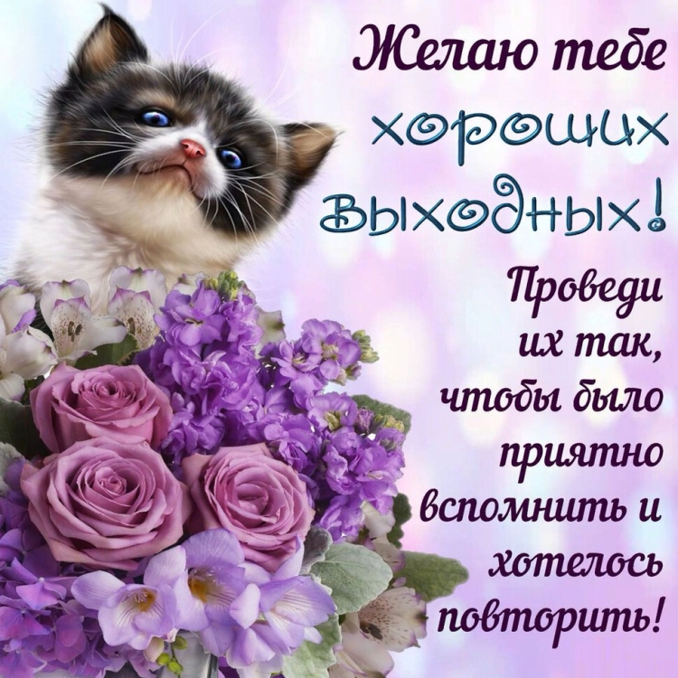 Поздравления на каждый день