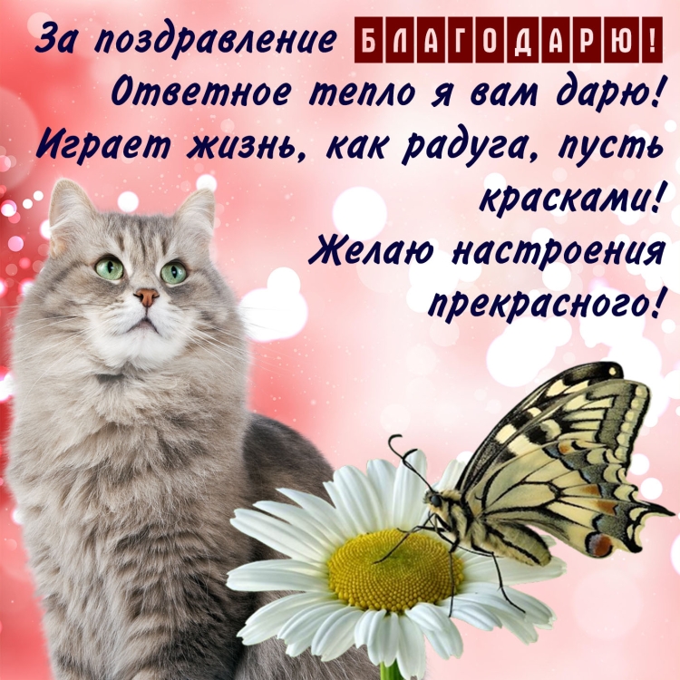 Добрые пожелания