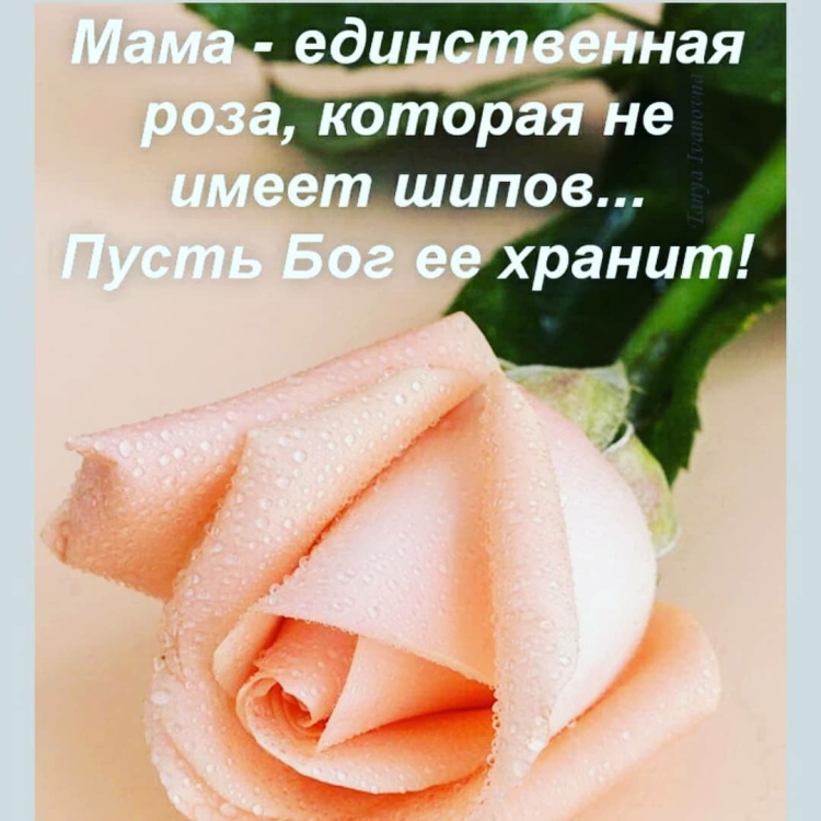 Открытки с днём рождения женщине с пионами