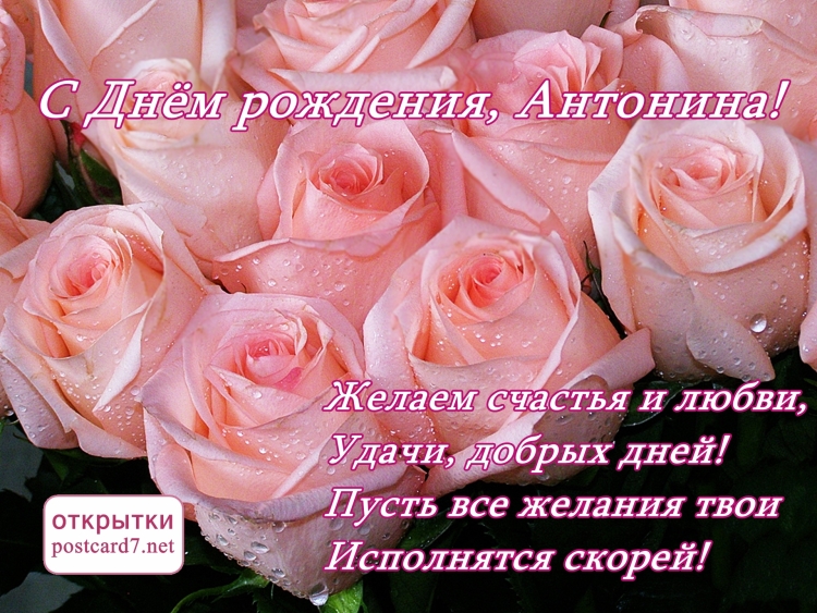 Поздравить Антонину с днем рождения