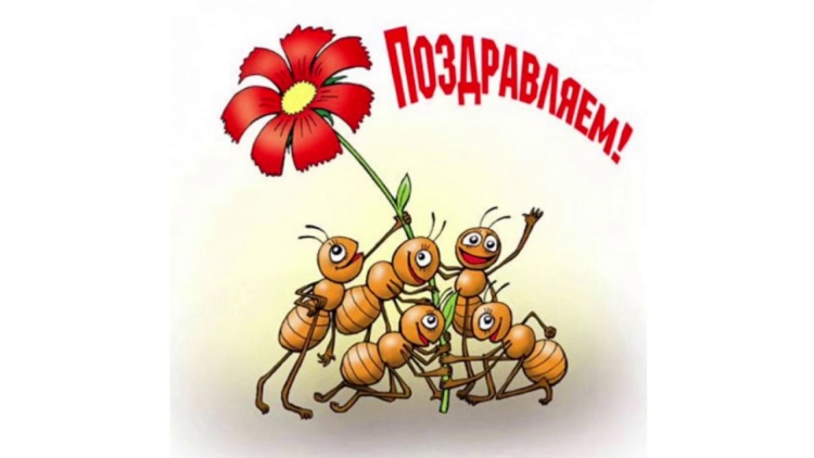 Pixiz розы