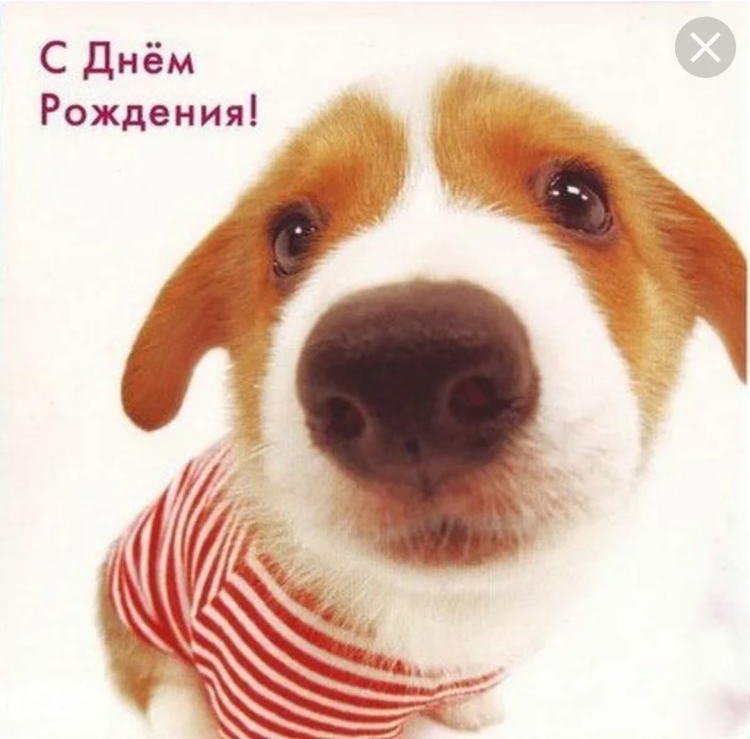 С днём рождения внука