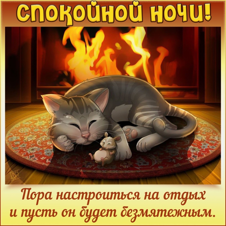 Открытки добрый вечер с котиками