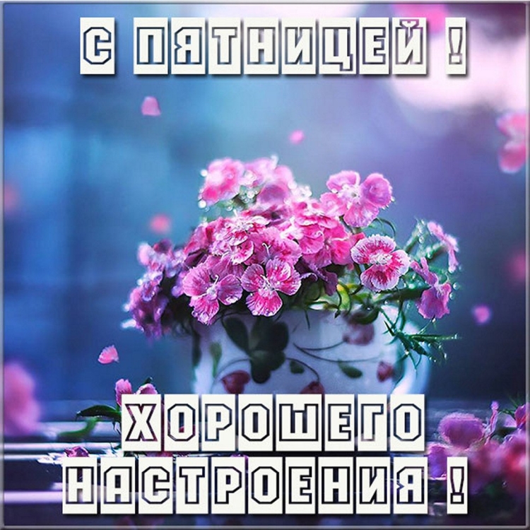 Открытки с добрым утром пятницы
