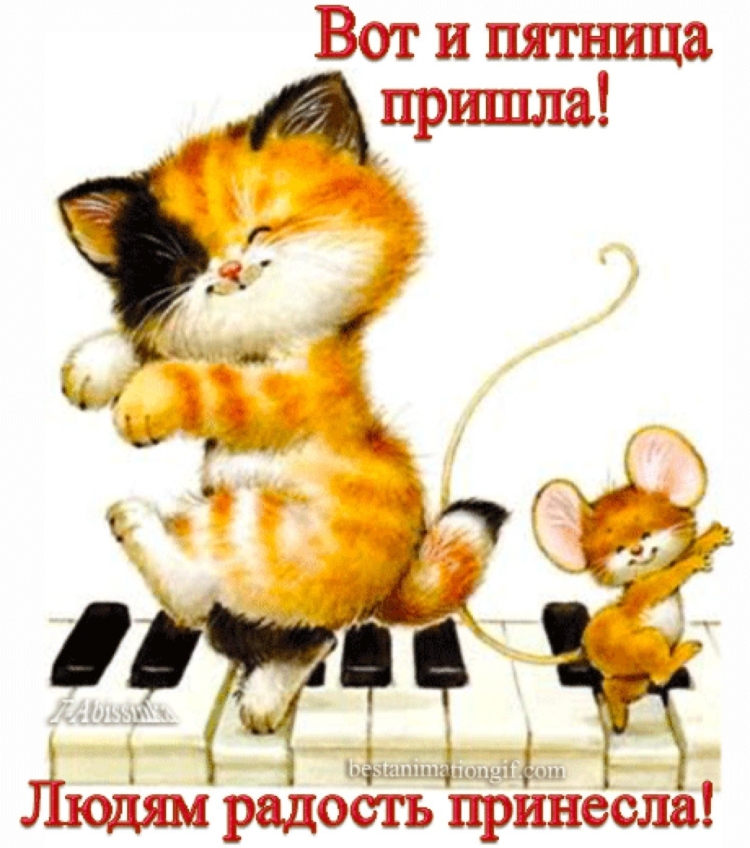 Хорошего отдыха в пятничный вечер
