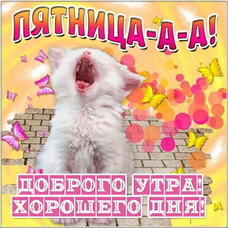 С пятницей стильные открытки