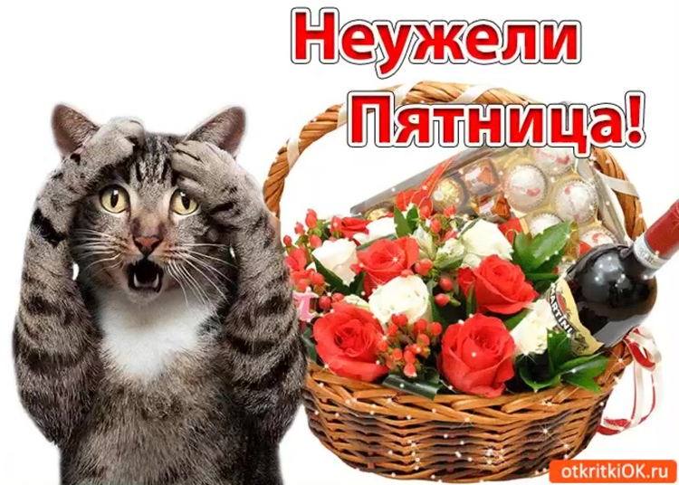 Девушка пятницы