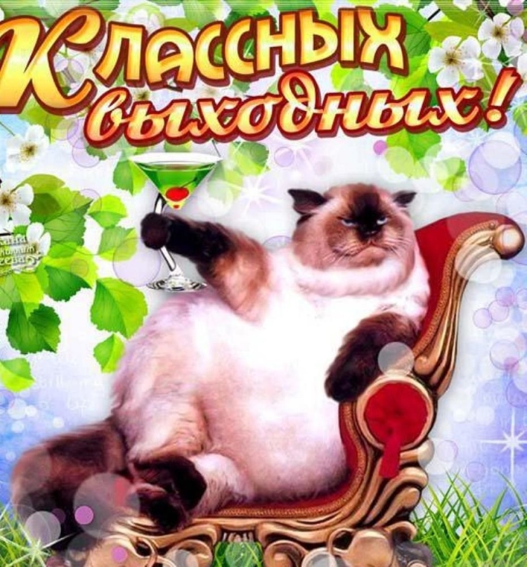 Эротические открытки хорошего дня