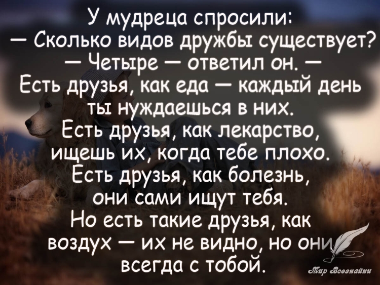 Цитаты про дружбу