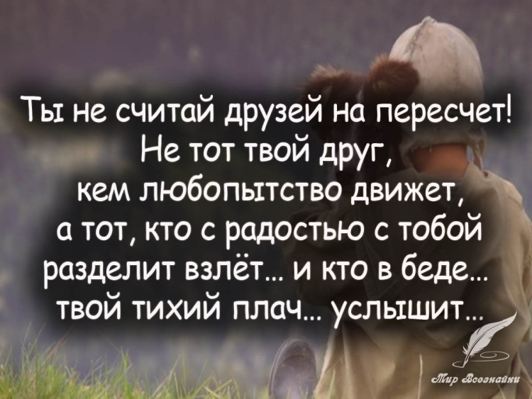 Цитаты про дружбу