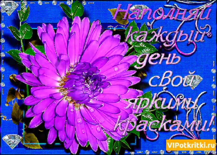 Открытки на каждый день