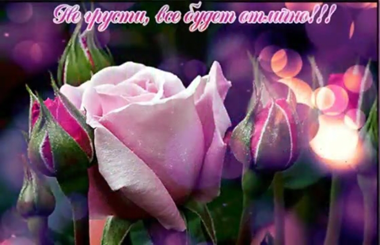 Поздравления с днём рождения анимационные