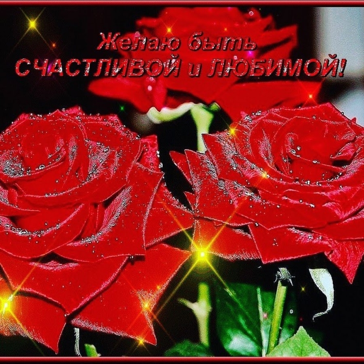 Красивые мигающие цветы