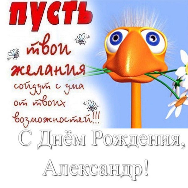 Смешные поздравления с днём рождения женщине
