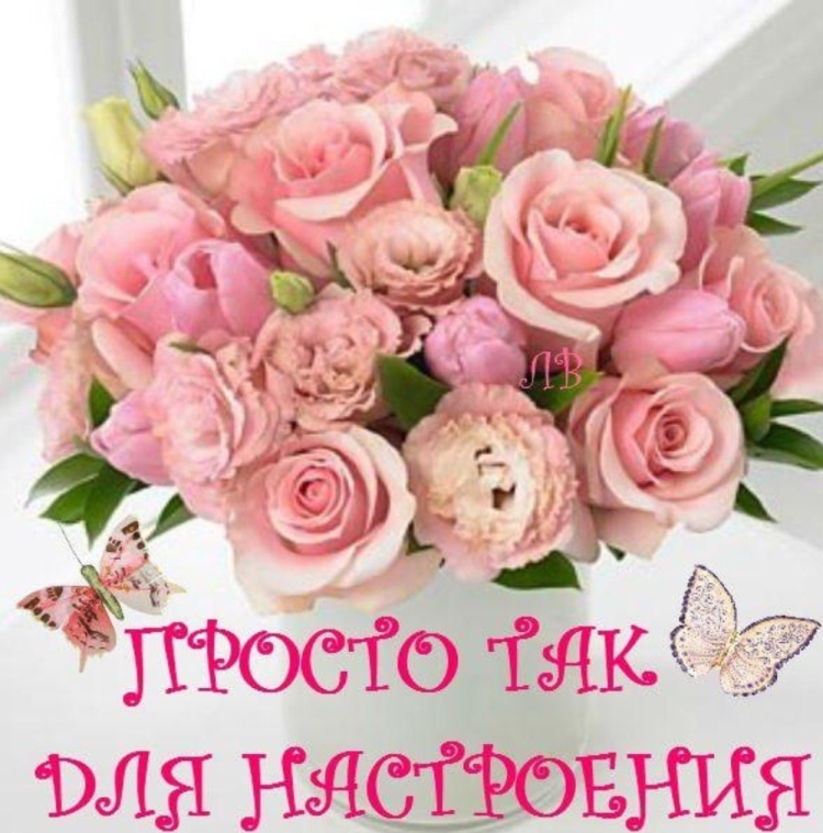 Хорошего настроения цветы