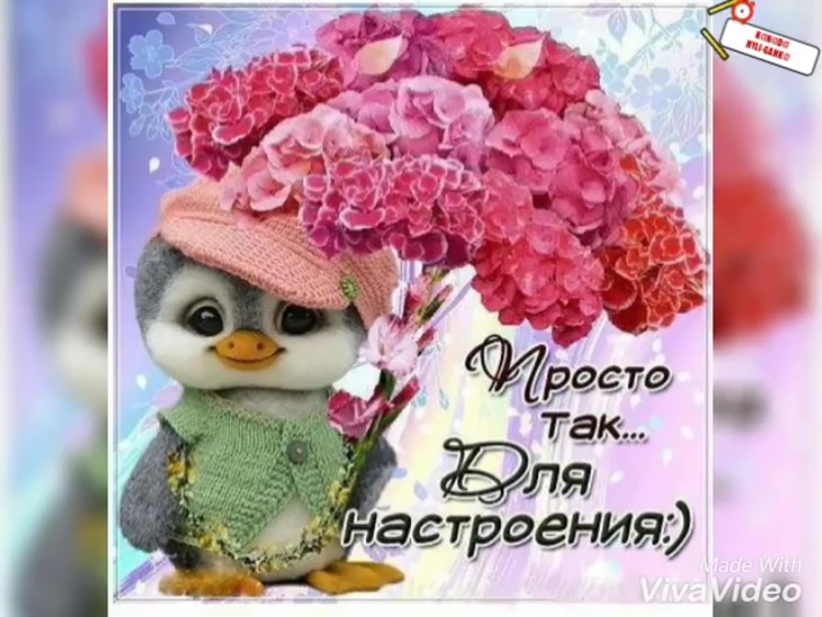 Тебе моя хорошая
