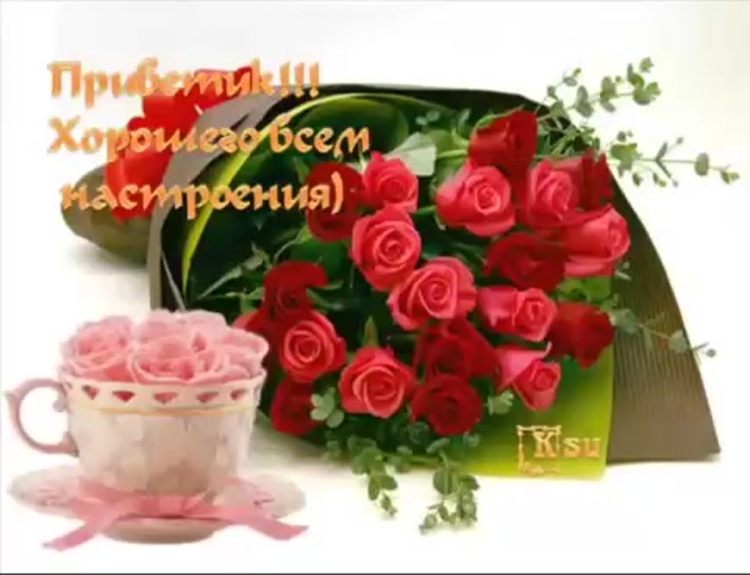 Красивые розы просто так