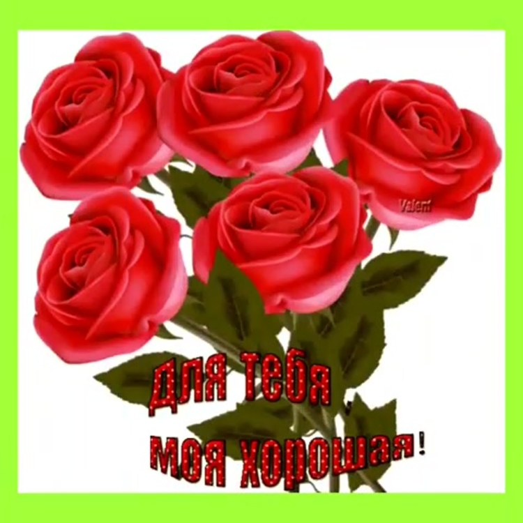 Розы для Наташи