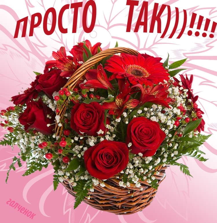 Цветочек для Танечки