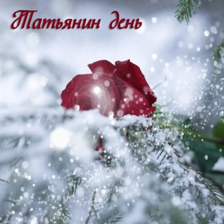 Татьянин день открытки