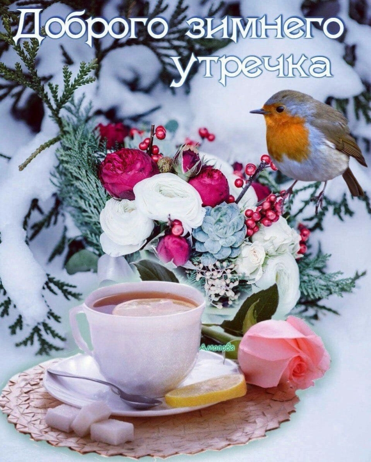 Открытки зима
