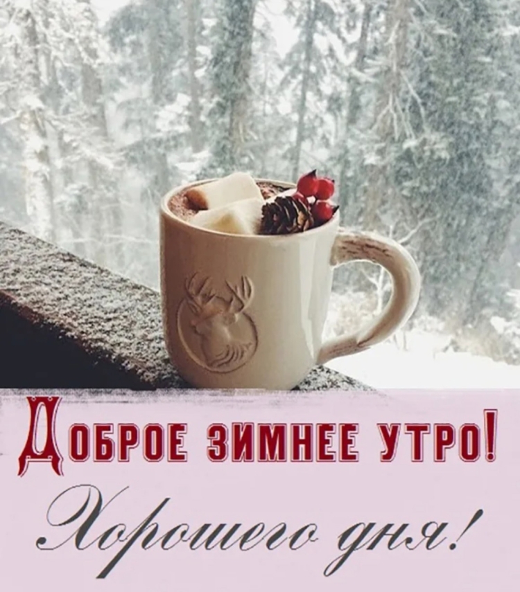 Новогоднее печенье и кофе