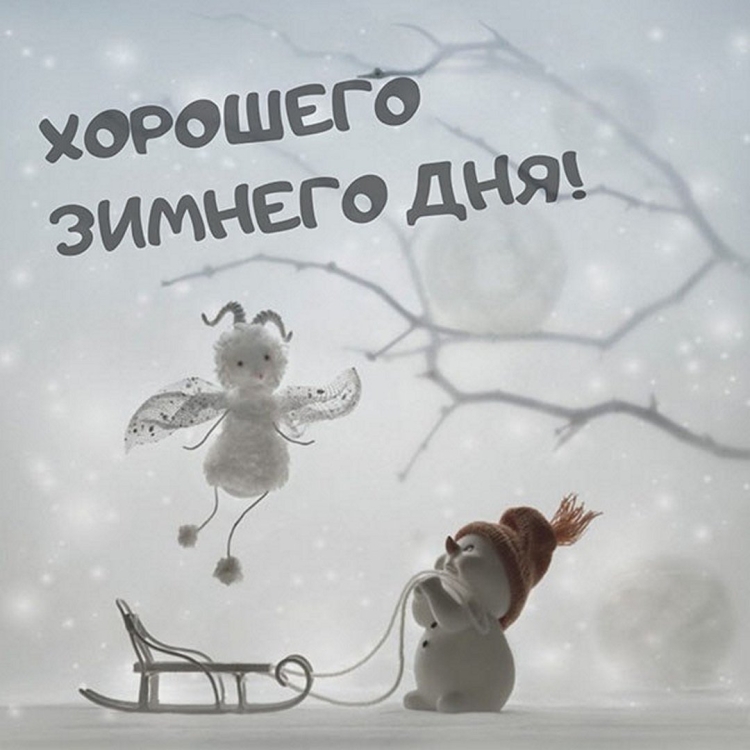 С добрым зимним утром и хорошим днём