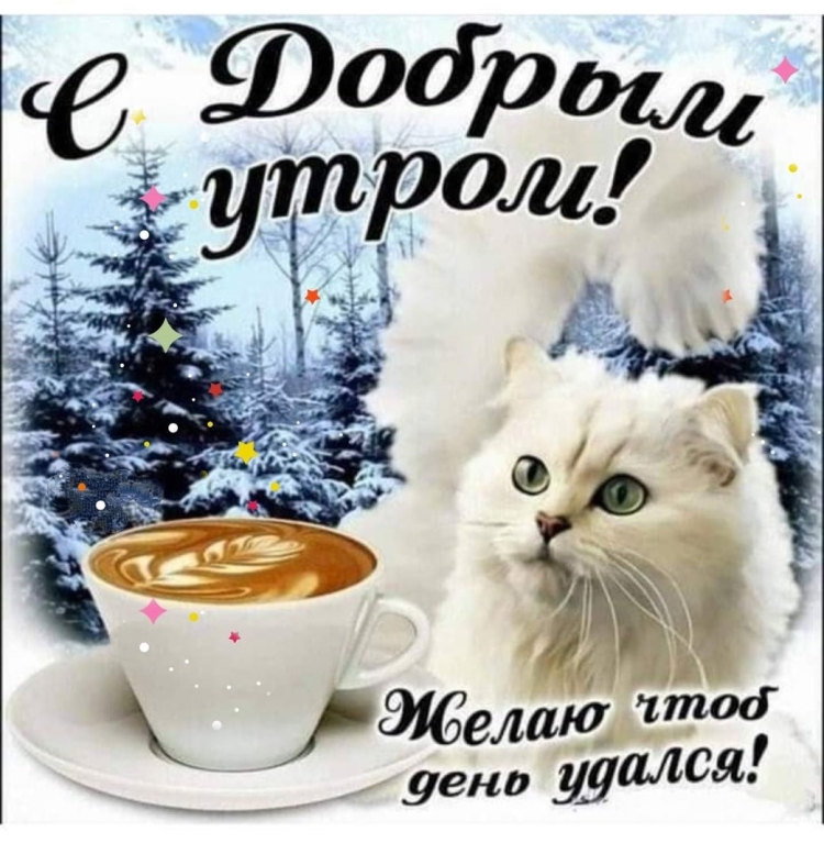 Картинки с добрым утром зимние добрые