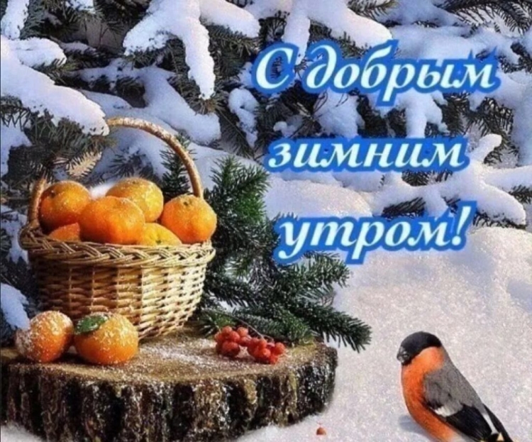 С добрым зимним субботним утром