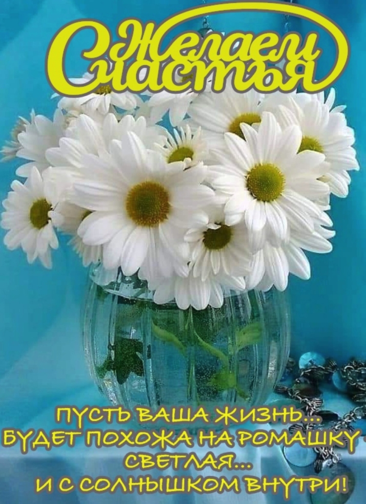Доброго дня здоровья и благополучия