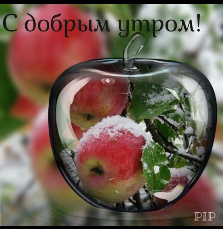 Пожелания с добрым утром с фруктами надписями