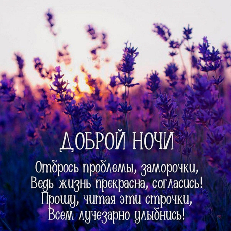 Спокойной ночи сестричка