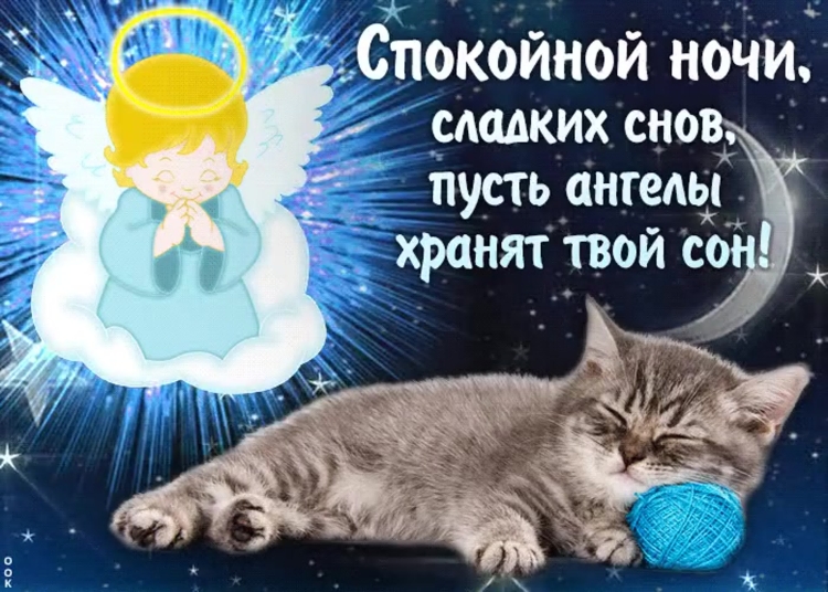 Зайка спит на Луне