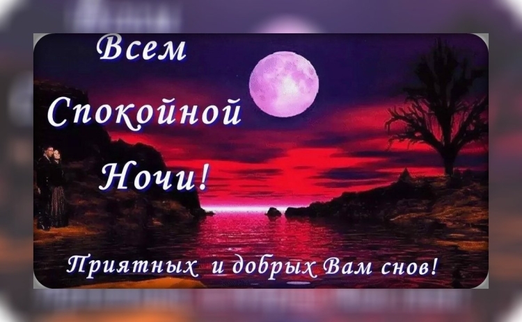 Сладких снов собачки