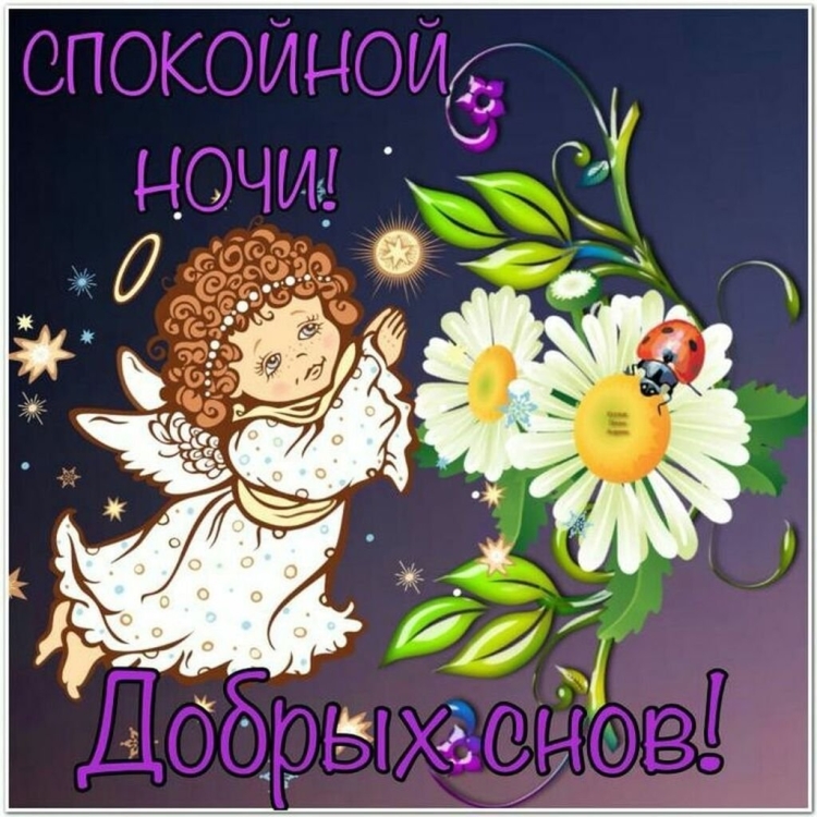 Спокойной ночи прикольные