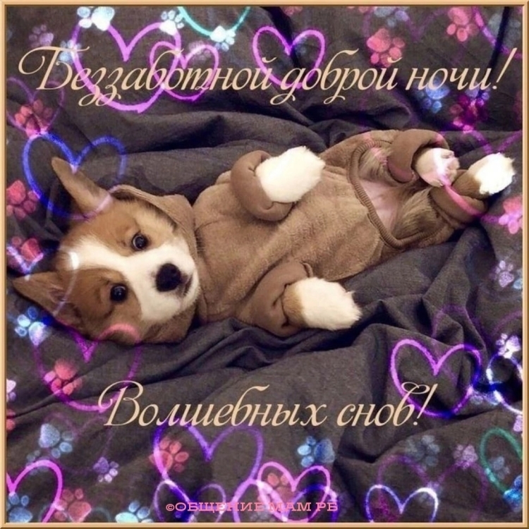 Доброй ночи