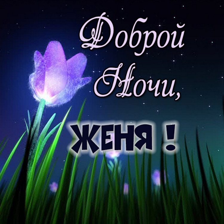 Спокойной ночи света