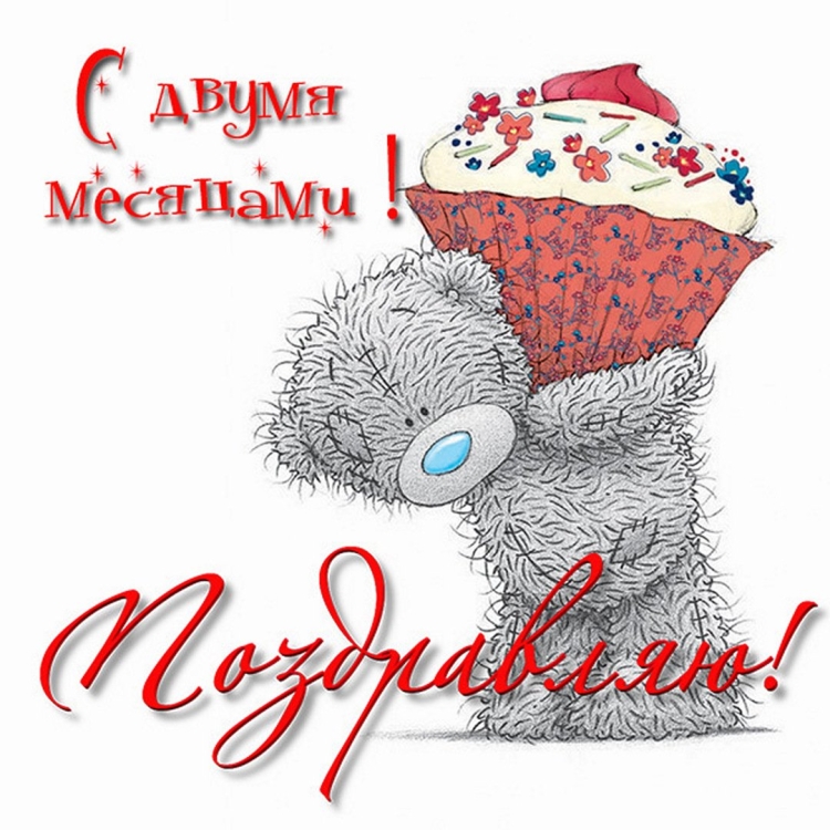 Поздравление с 6 месяцами