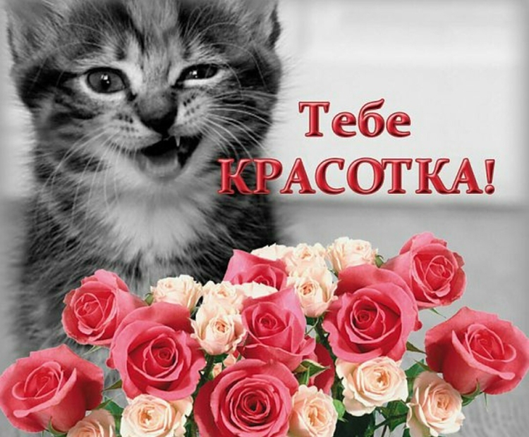 С днем рождения красотка