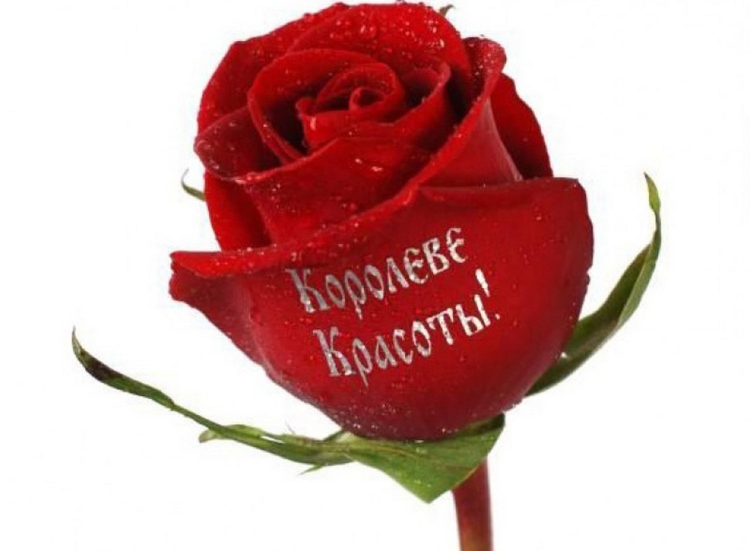 Вы супер открытки