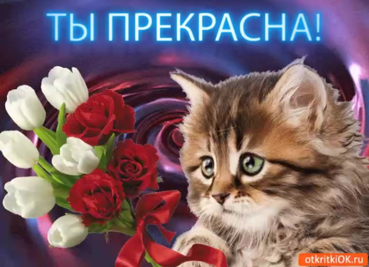 Ты прекрасна