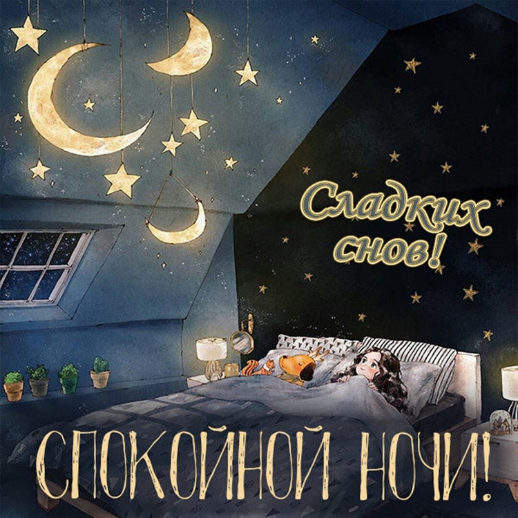 Сладких снов любимая группа