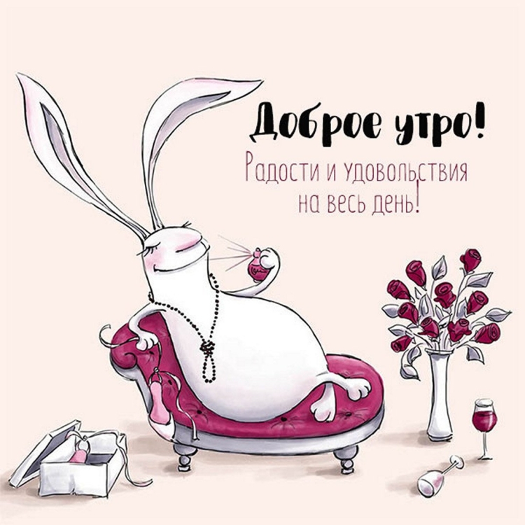 Кот пьет кофе
